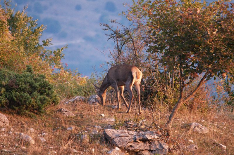 Equinozio d''autunno